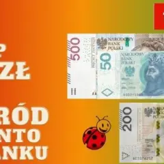 Ile kosztuje konto w mBanku? Sprawdź, jak uniknąć opłat