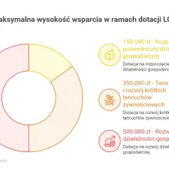 Wykres kołowy przedstawia maksymalne kwoty dotacji LGD na rozpoczęcie działalności, rozwój krótkich łańcuchów żywnościowych i rozwój działalności gospodarczej.