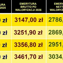 Tabela pokazuje, ile wynosi najniższa emerytura netto po waloryzacji 2026. Najniższa kwota netto to 2786,13 zł.
