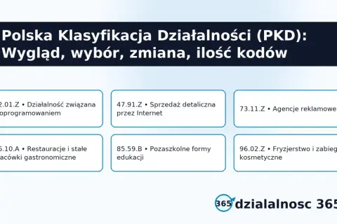 Przykłady kodów PKD: działalność związana z oprogramowaniem, sprzedaż detaliczna przez Internet, agencje reklamowe, gastronomia, edukacja, fryzjerstwo.