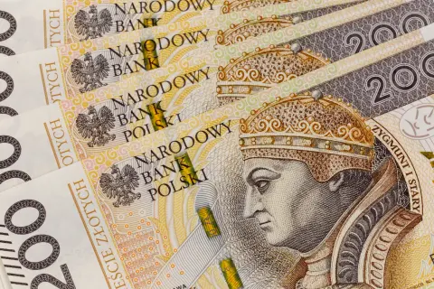 Złotówki z wizerunkiem Zygmunta Starego. Może to być zaliczkowa emerytura z powodu OFE.