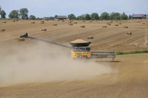 Żółta maszyna żniwna zbiera zboże na polu, tworząc tumany kurzu. W tle widać bele słomy i zabudowania. To obraz pracującego, aktywnego rolnika.