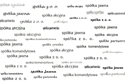 Różne rodzaje spółek: spółka jawna, akcyjna, z o.o., komandytowa, cywilna, partnerska.