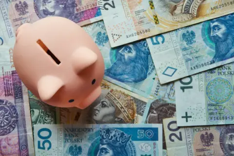 Różowa świnka-skarbonka na stosie polskich banknotów. To symbol oszczędzania na przyszłość, może nawet na inwestycje w bossa lista etf.