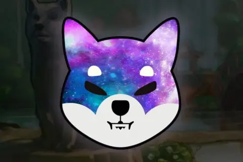 Gdzie kupić shiba inu coin? Sprawdzone giełdy i opcje płatności