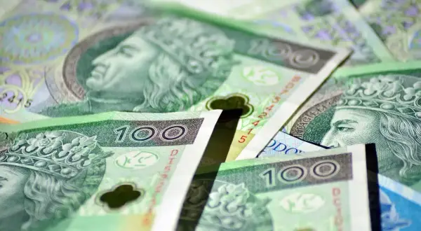 Stos stuzłotowych banknotów, symbolizujących zasiłek stały, tworzy zielono-fioletową mozaikę.