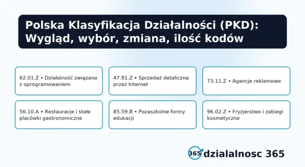 Przykłady kodów PKD: działalność związana z oprogramowaniem, sprzedaż detaliczna przez Internet, agencje reklamowe, gastronomia, edukacja, fryzjerstwo.