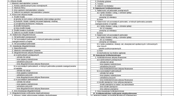 Bilans firmy z podziałem na aktywa trwałe, obrotowe, zapasy i należności. Widać tu szczegółowe pozycje, takie jak wartości niematerialne i prawne, środki trwałe, inwestycje, udziały, akcje i inne pasywa.