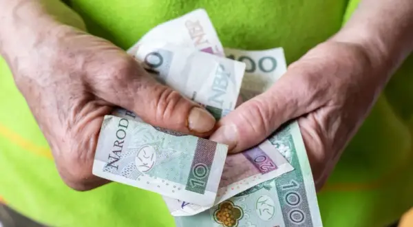 Dłonie trzymają polskie banknoty. Zastanawiasz się, ile wynosi renta socjalna?