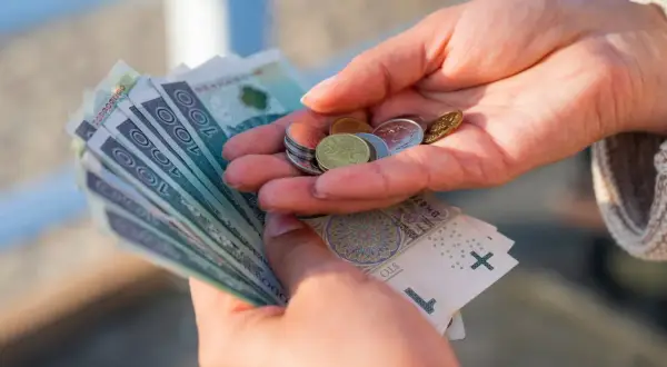 Dłonie liczą banknoty i monety. To może być świadczenie uzupełniające, które pomaga w codziennych wydatkach.