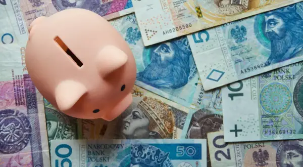 Różowa świnka-skarbonka na stosie polskich banknotów. To symbol oszczędzania na przyszłość, może nawet na inwestycje w bossa lista etf.