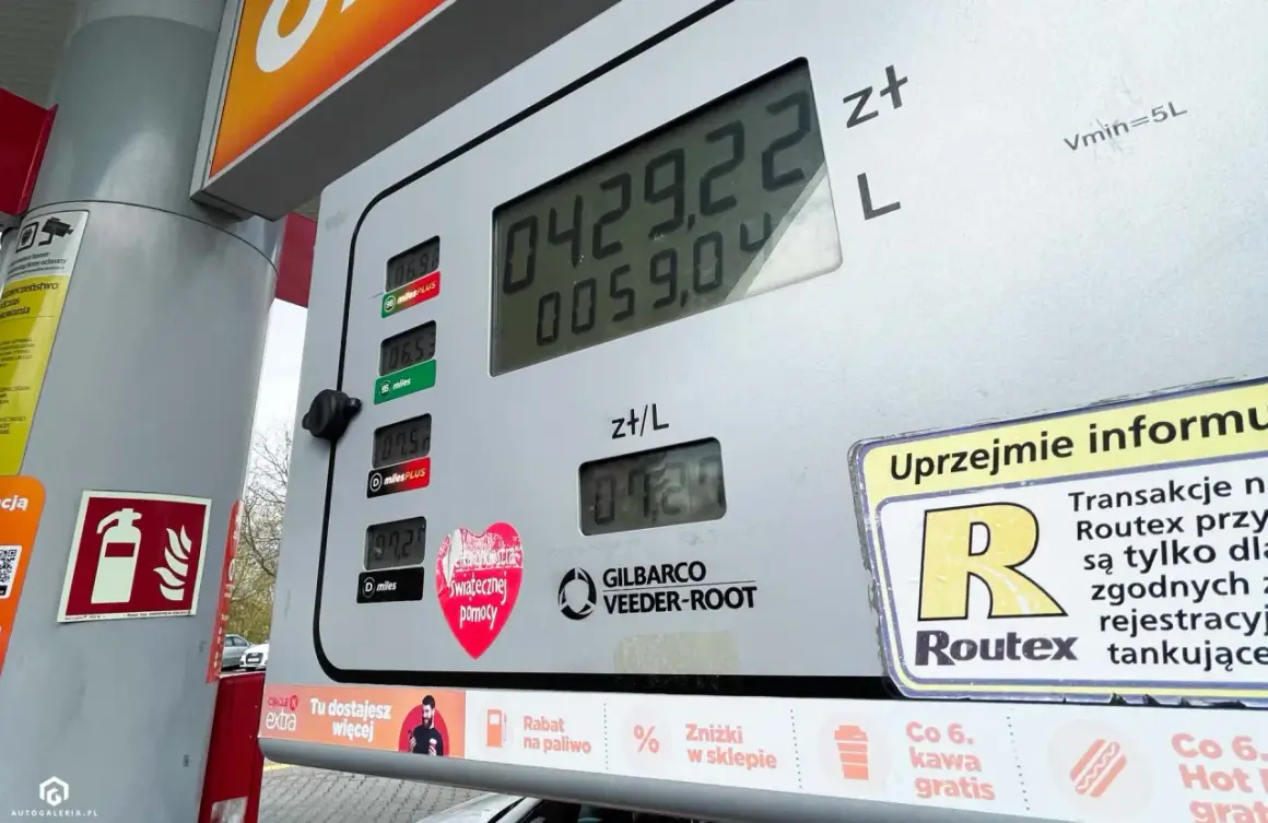 Cyfrowy wyświetlacz dystrybutora paliwa pokazuje cenę 4,29 zł za litr. Obok widnieje informacja o promocji "Co 6. kawa gratis", a na dole znajduje się naklejka z sercem i napisem "Świątecznej pomocy". W tle widać fragment samochodu i drzewa. To nie jes...