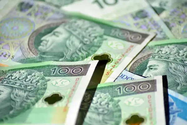 Stos stuzłotowych banknotów, symbolizujących zasiłek stały, tworzy zielono-fioletową mozaikę.