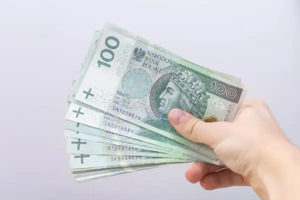 Dłoń trzyma stos banknotów 100 zł. To może być pomocne przy składaniu wniosku o bon energetyczny 2026.